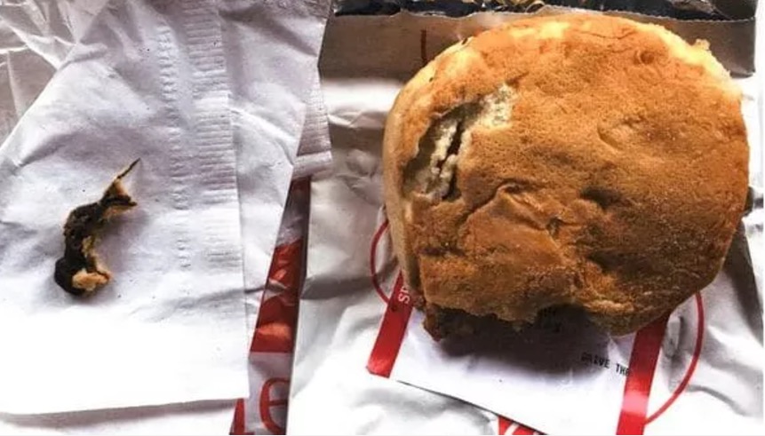 Mulher  é surpreendida ao encontrar rato em sanduíche de frango 