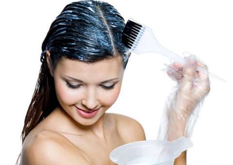 Fruto de planta pode ser é utilizado na produção de cremes e óleos para cabelos 