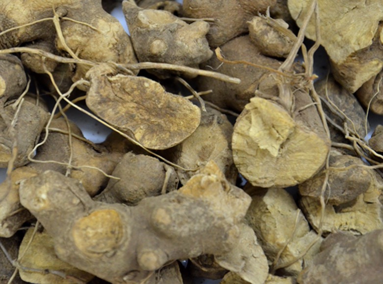 Saiba como preparar chá com poder afrodisíaco e revigorante 