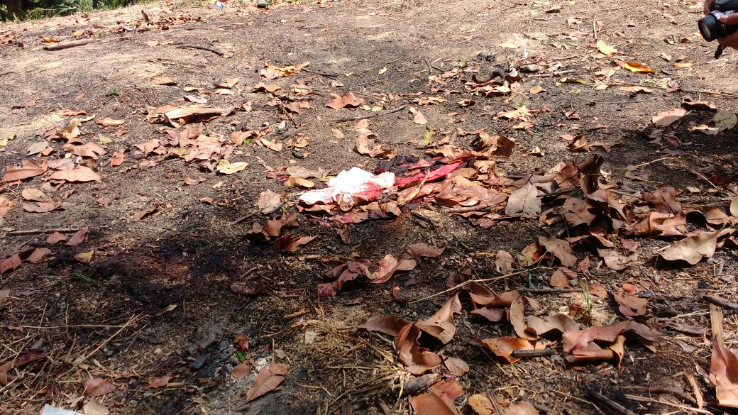 Homens invadem terreno e caseiro é golpeado com várias terçadadas em Manaus