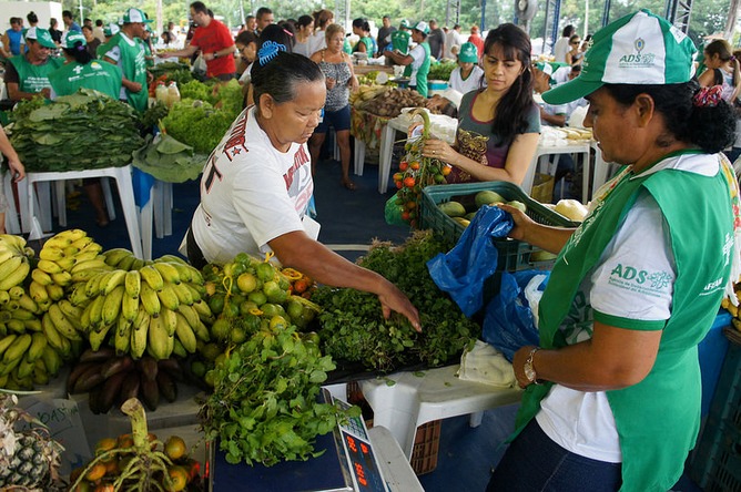 Final de semana terá 1ª Feira de Agronegócios em Manaus