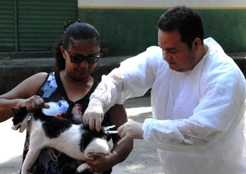 Em Manaus, Semsa recebe documentos de classificados em PSS 