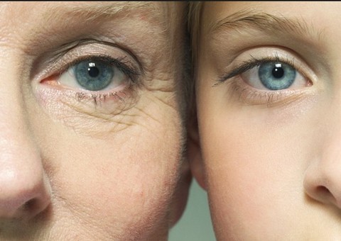 Fibra presente na aveia combate envelhecimento da pele 