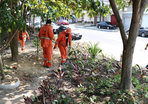 Jardins tomam lugar de lixeiras viciadas 