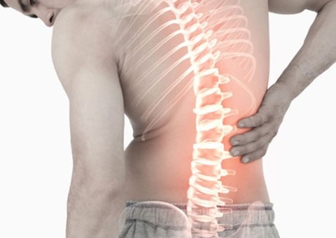 Vitamina melhora a densidade óssea e ajuda prevenir osteoporose 