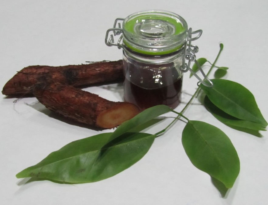 Espécie de bálsamo pode tratar DST’s e inflamações nas vias urinárias 