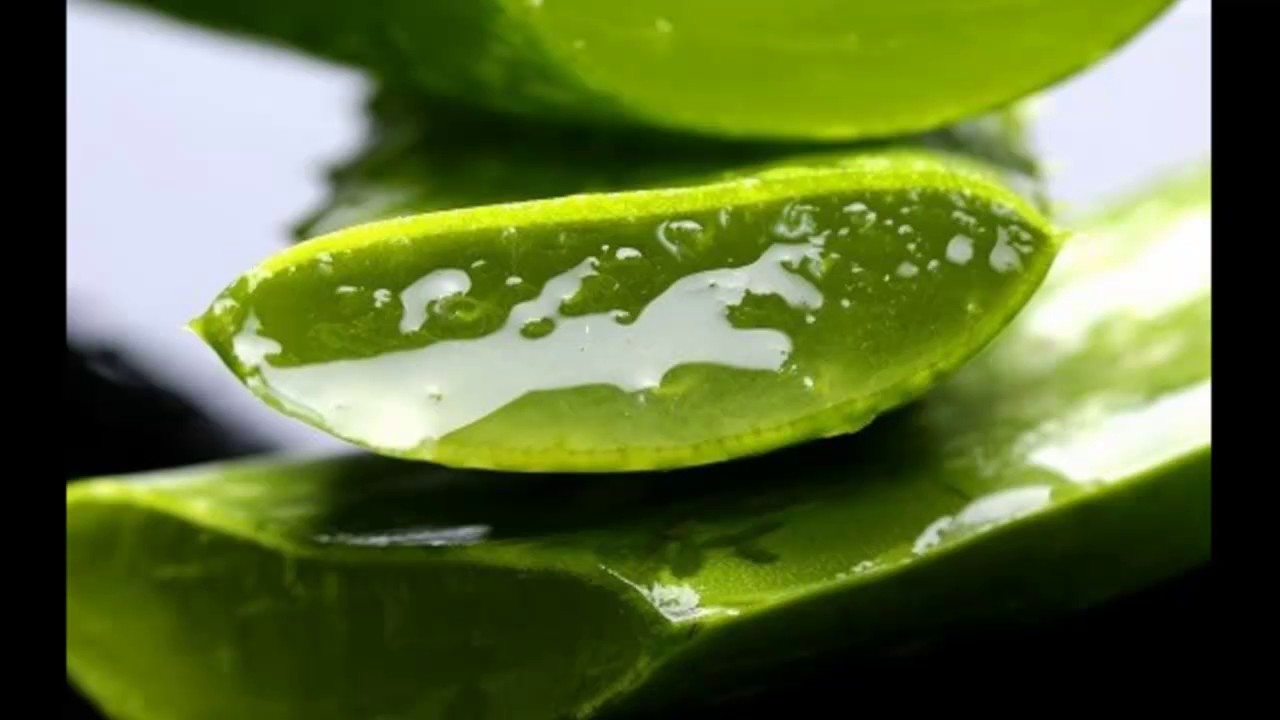 Seu intestino e fígado vão limpar rapidamente se usar babosa e limão dessa forma