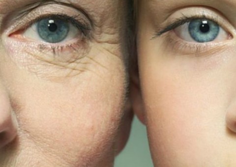 Alimentação e hábitos saudáveis podem ser o segredo da longevidade