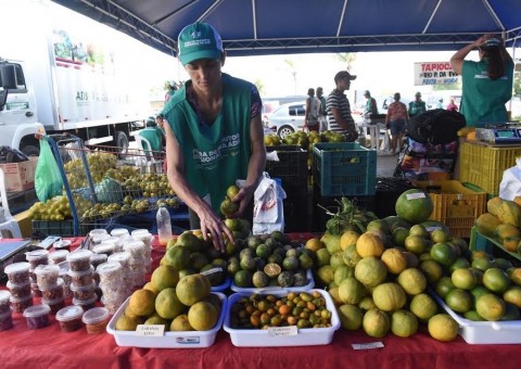 Feira Regional completa um ano com R$ 2,2 milhões de faturamento em Manaus 
