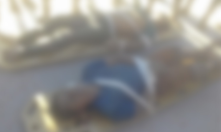 Três indígenas são assassinados a tiros no Amazonas