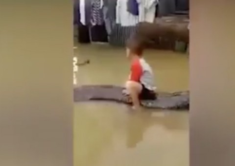 Em vídeo chocante criança de três anos brinca com cobra gigante