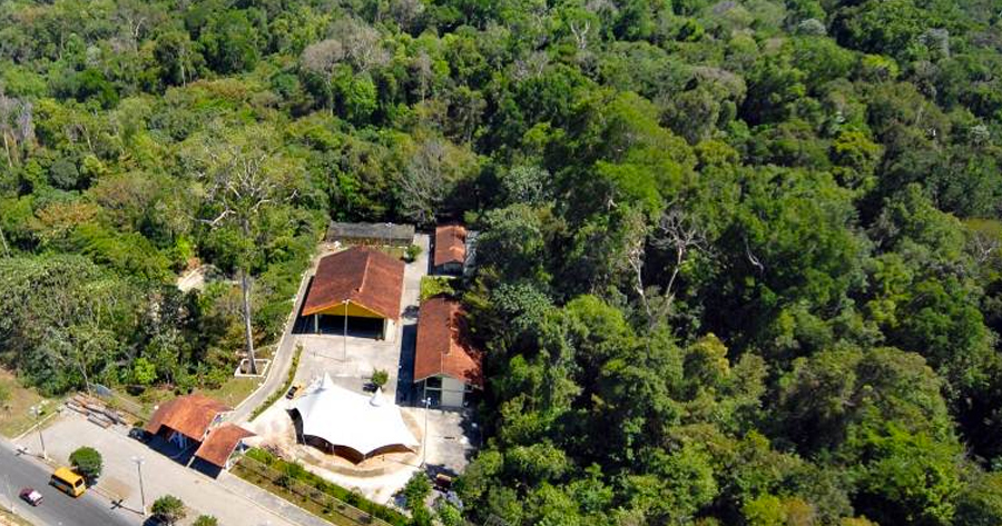 Trio é preso suspeito de tentar executar homem em reserva florestal de Manaus