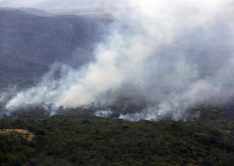 Fogo acaba e Parque da Chapada pode reabrir nesta semana