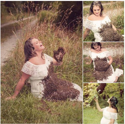 Gestante faz ensaio com milhares de abelhas e o pior acontece com bebê