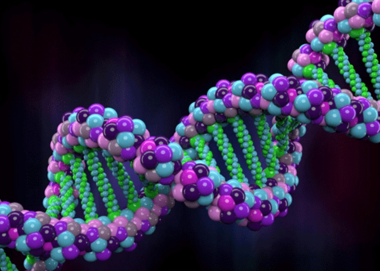 Cientistas identificam dois genes relacionados à homossexualidade