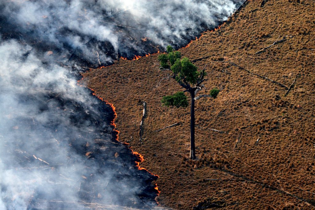 Brasil termina 2017 com número recorde de queimadas