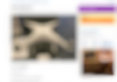 Em Manaus, jovem é presa por roubar empresário que anunciou produto na internet