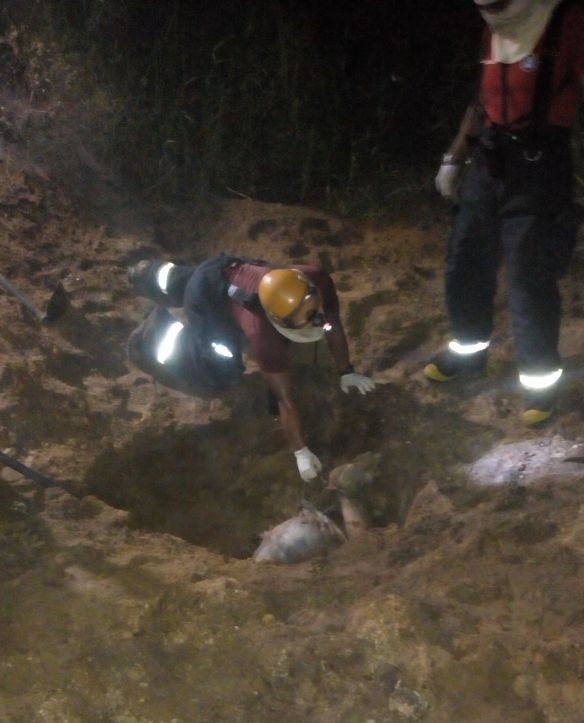 Corpo é encontrado enterrado de cabeça para baixo em terreno abandonado de Manaus
