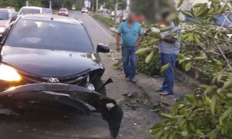 Carro arranca árvore e deixa um ferido em avenida de Manaus