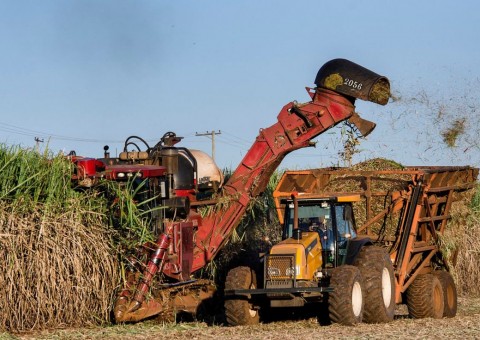 Bandidos invadem usina e roubam 400 mil litros de etanol