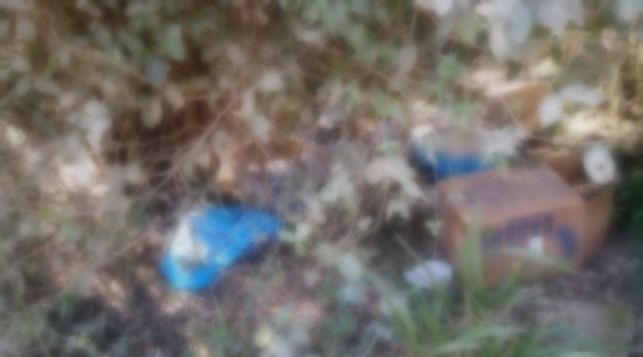 Grupo é preso suspeito de esquartejar crianças em ritual satânico por R$25 mil