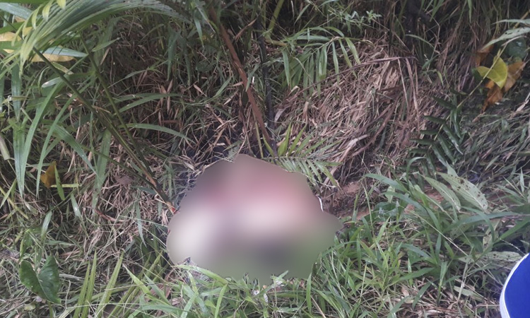 Após sequestro, jovem é torturado e executado a tiros em Manaus