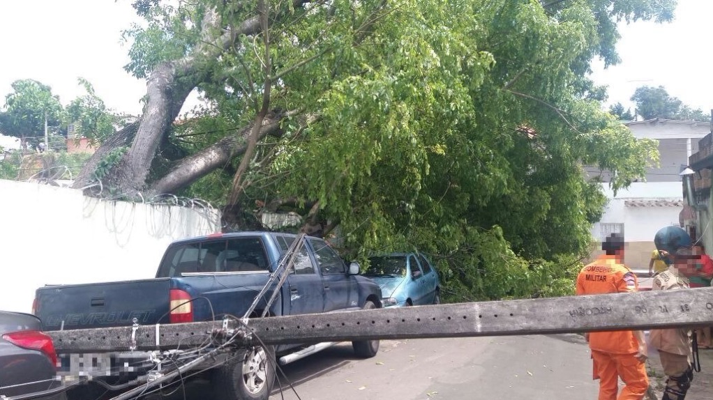 Árvore e poste caem sobre carros e  interditam rua em Manaus