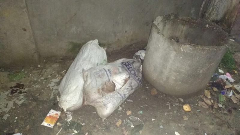 Em Manaus, mulher esquartejada é identificada e estava grávida de 6 meses