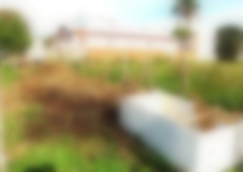 Mulher é encontrada morta dentro de geladeira abandonada na BR-324