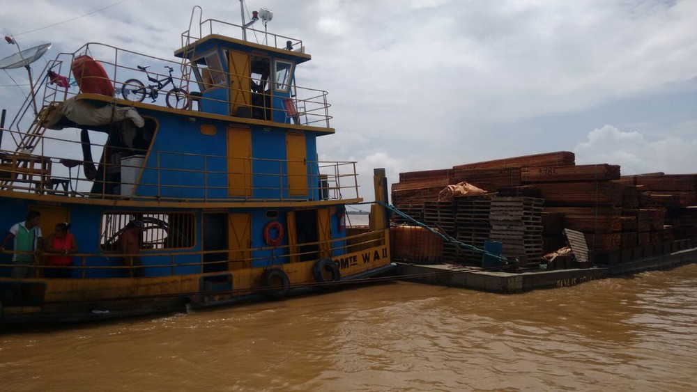 PF apreende carga de madeira ilegal avaliada em R$ 2 milhões no Amazonas