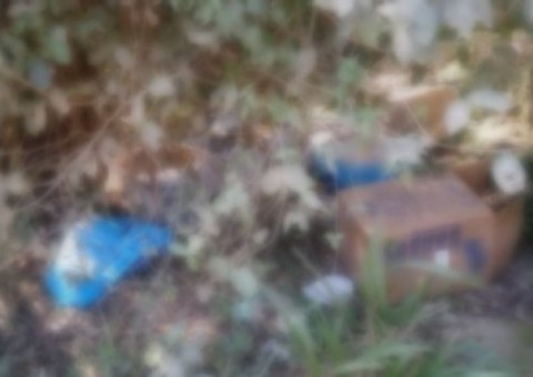 Polícia descobre mentiras de testemunhas sobre ritual satânico em caso de esquartejamento de crianças