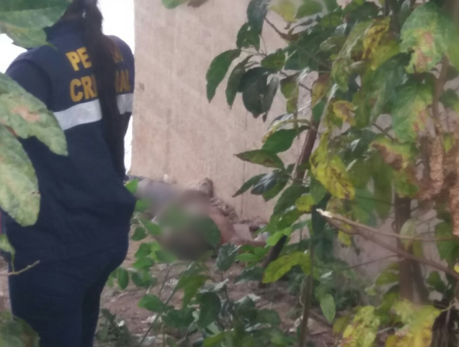 Corpo de adolescente degolado é encontrado boiando em igarapé de Manaus