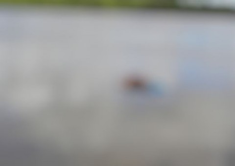 Criança de 5 anos morre afogada após cair de flutuante no Amazonas