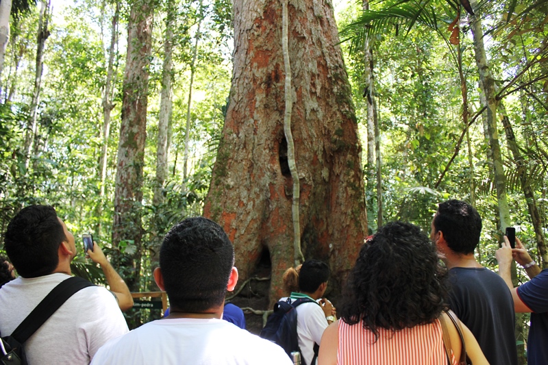 DPE-AM realiza passeio com adolescentes de projeto social em Manaus