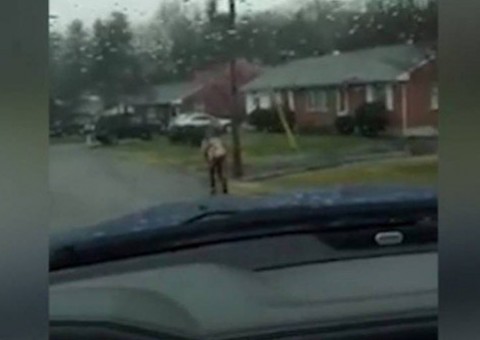 Pai transmite ao vivo castigo dado ao filho que praticou bullying  na escola