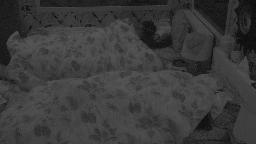 Após retorno triunfal, clima entre Gleici e Wagner pega fogo debaixo do edredom