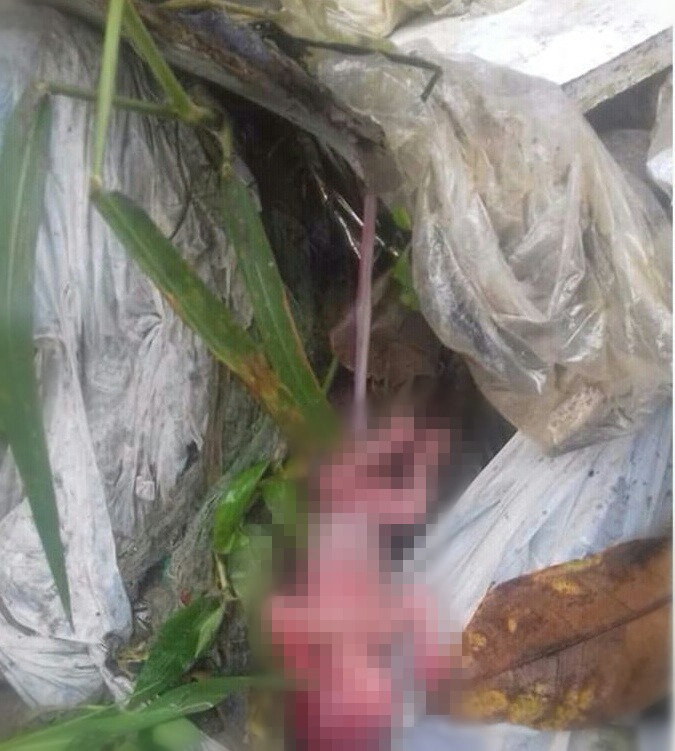 Feto é encontrado jogado em córrego de Manaus