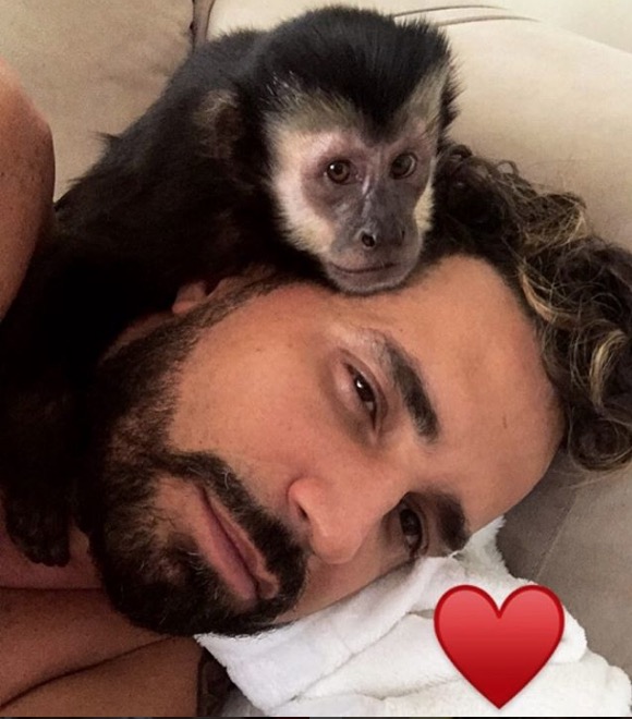 Macaco de Latino, Twelves, morre atropelado e cantor está devastado 