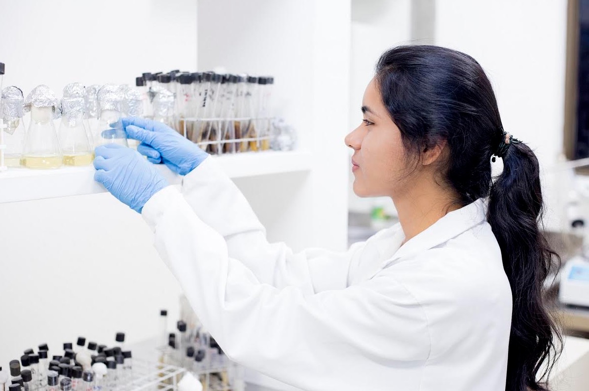 Fapeam lança editais de R$ 5,7 milhões para incentivo a pesquisas