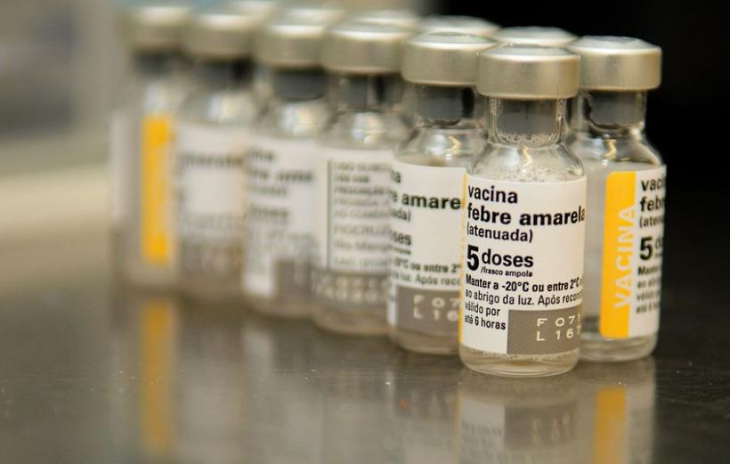  Ministério da Saúde registra 328 mortes por febre amarela no Brasil