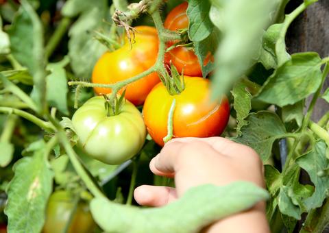 Edital com R$12 milhões contempla projetos para o desenvolvimento do Amazonas