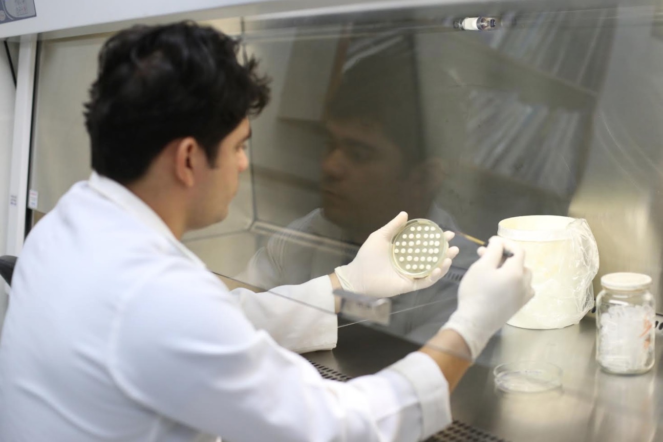 Governo libera R$ 1 milhão para setor de Ciência e Tecnologia do Amazonas 