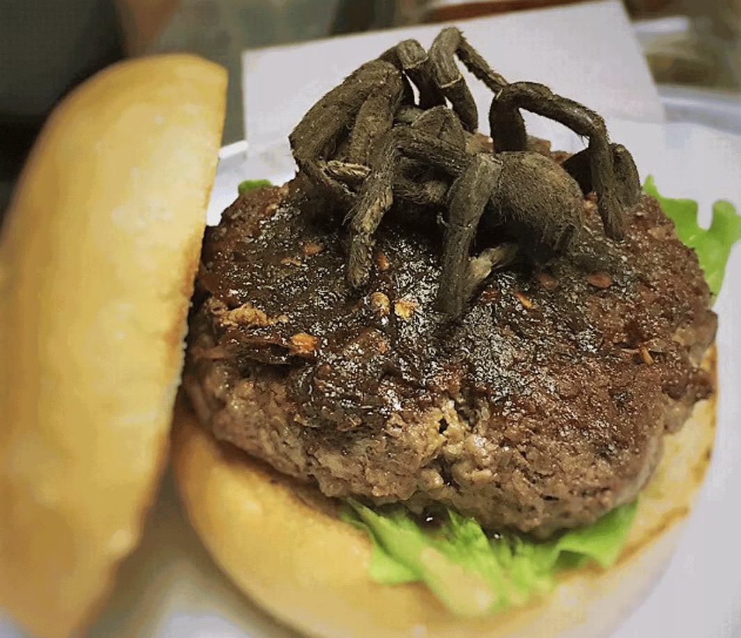 Restaurante dos EUA oferece sanduíche com tarântula de recheio