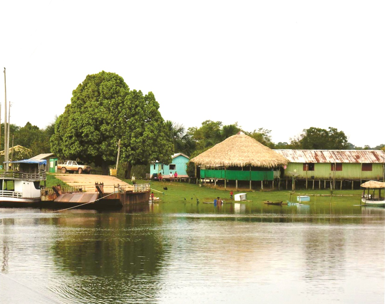 Sema realiza soltura de 5 mil quelônios em reserva sustentável no Amazonas 