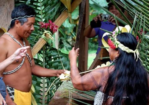 Um milhão de indígenas brasileiros buscam alternativas para sobreviver