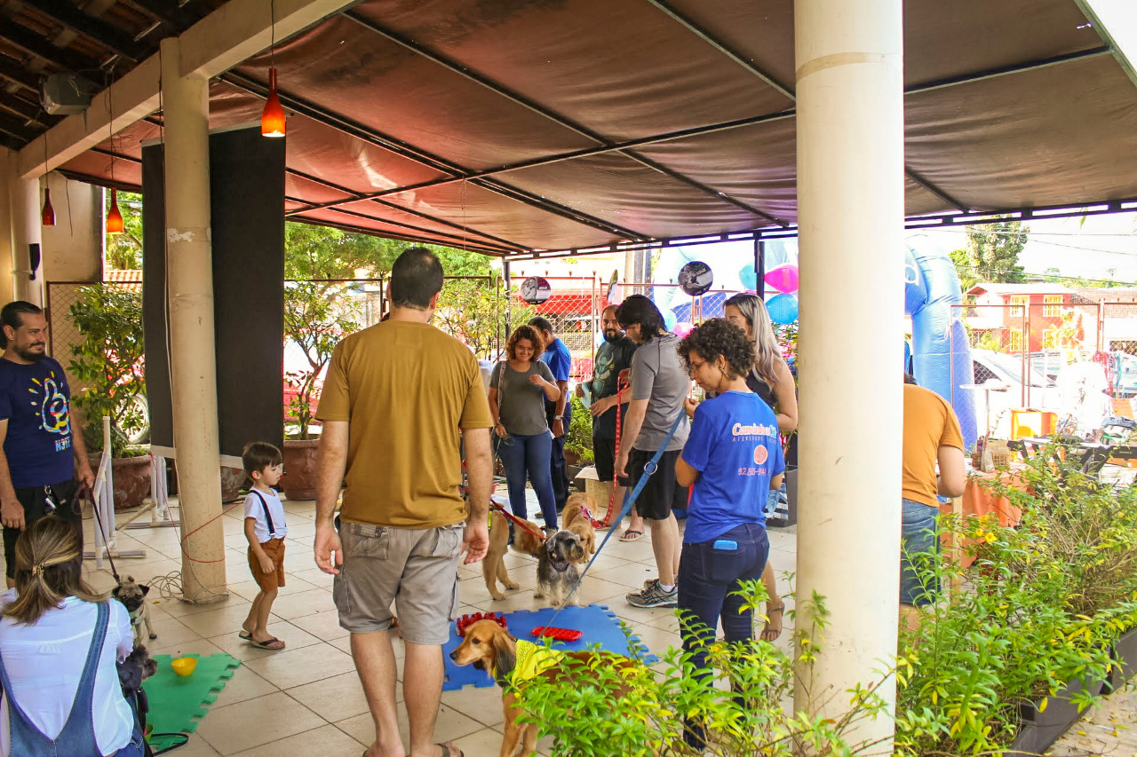 ONG Pata promove 'pet friendly' com desfile e adoção de cachorros em Manaus