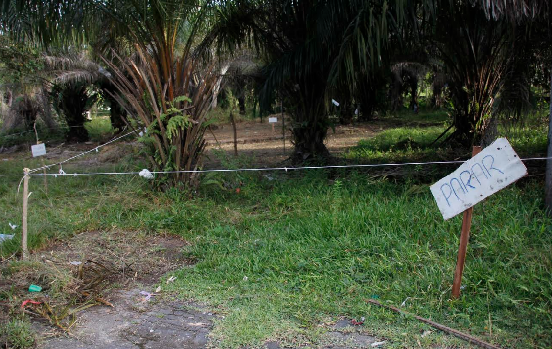 Prefeitura retira demarcações de invasores em área de preservação em Manaus