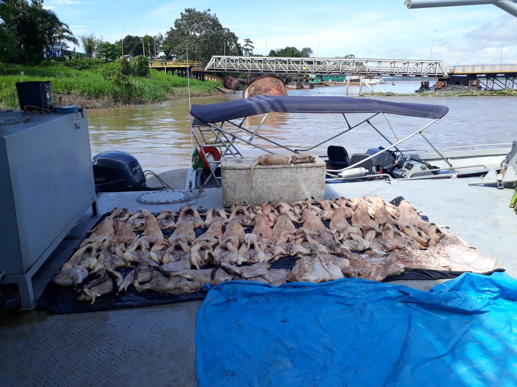 Quatro pessoas são presas com 368 kg de carne de caça em porto no Amazonas
