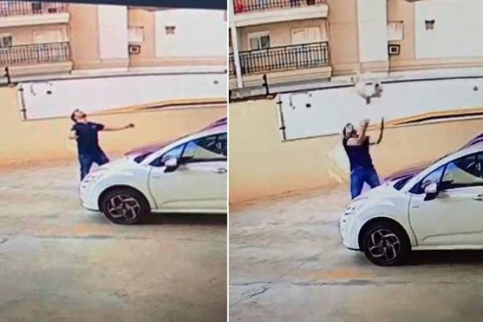 Homem resgata cachorro em queda livre do 9º andar de prédio; vídeo é impressionante