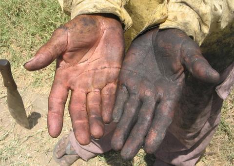 Auditores resgatam 19 trabalhadores em situação degradante em fazenda